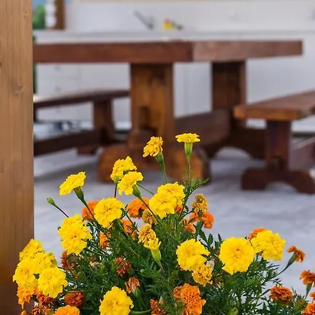 Kampos With Free Heated Pool, By Zantewize Villa